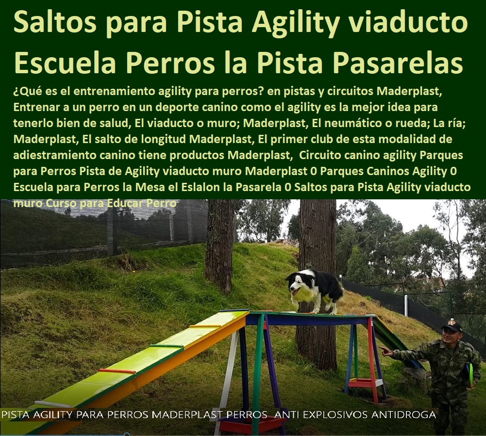 Circuito canino agility Parques para Perros Pista de Agility viaducto muro Maderplast 0 Parques Caninos Agility 0 Escuela para Perros la Mesa el Eslalon la Pasarela 0 Saltos para Pista Agility viaducto muro Curso para Educar Perro Circuito canino agility Parques para Perros Pista de Agility viaducto muro Maderplast Caninos Para Perros, Equipo De Agility Para Perros, Cunas Y Parideras Para Perros, Parques Para Perros, Corrales Para Perros, Jaulas cuidado de perros, Casas Para Perros Y Mascotas, Agility De Perros, Pistas De Adiestramiento, 0 Parques Caninos Agility 0 Escuela para Perros la Mesa el Eslalon la Pasarela 0 Saltos para Pista Agility viaducto muro Curso para Educar Perro